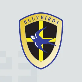 Cardiff city afc 1